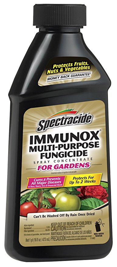 Spectracide Immunox Multi-Purpose Fungicide Spray Concentrate For Gardens (HG-51000) (Pack of 6)
