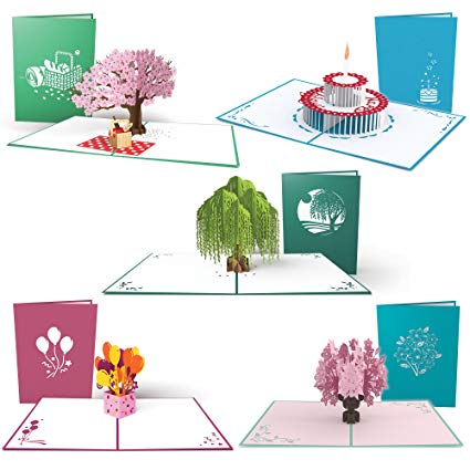 Lovepop Everyday 5 Pack 3D popup greeting card gifts