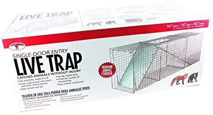 Little Giant Single Door Entry Live Animal Trap, 42.25-Inch