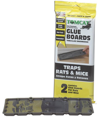Tomcat Glue Board Value Pack Rat And Mouse Trap