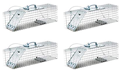 Havahart 1084 Easy Set One-Door Cage Trap for Rabbits, Skunks, Minks and Large Squirrels (Pack of 4)