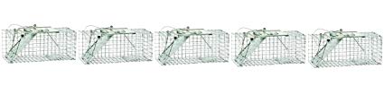 Havahart 1083 Easy Set One-Door Cage Trap for Squirrels and Small Rabbits (4-Pack)