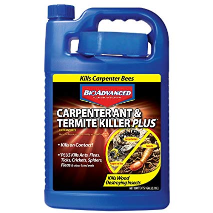 Bayer Advanced 700315 Carpenter Ant and Termite Killer Plus Concentrate, 1-Gallon