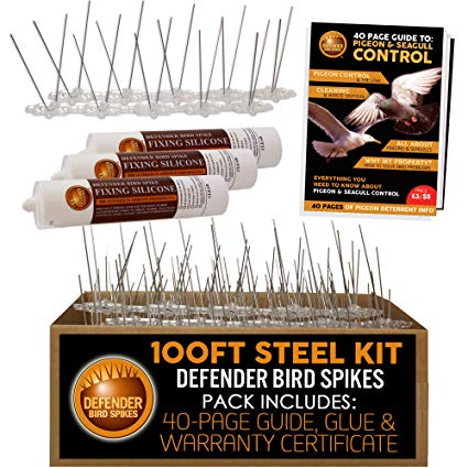 Defender Stainless Steel Pigeon Spikes Kit | 100 Feet with Glue | Various Size Kits