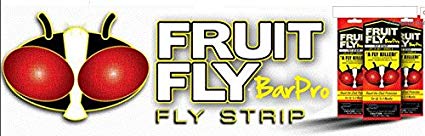 Fruit Fly Barpro Fly Control Strip Case of 10 (10)