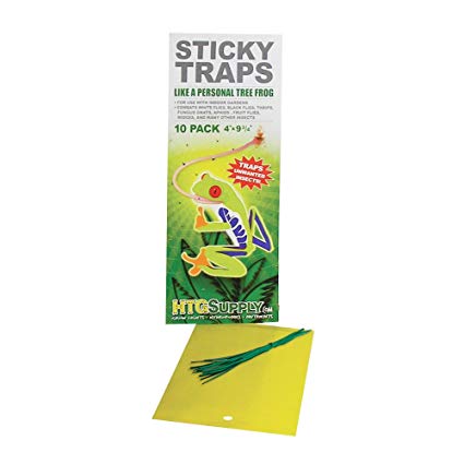 HTG Supply 100-Pack Large 4 Inch by 9.75 Inch Sticky Insect Traps (100 Traps)