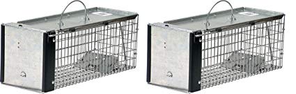 Havahart 0745 One-Door Animal Trap for Chipmunk, Squirrel, Rat, and Weasel, X-Small (Pack of 2)